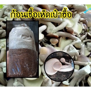 ก้อนเชื้อเห็ดเป๋าฮื้อ เชื้อเดิน30% 3ก้อน75บาท