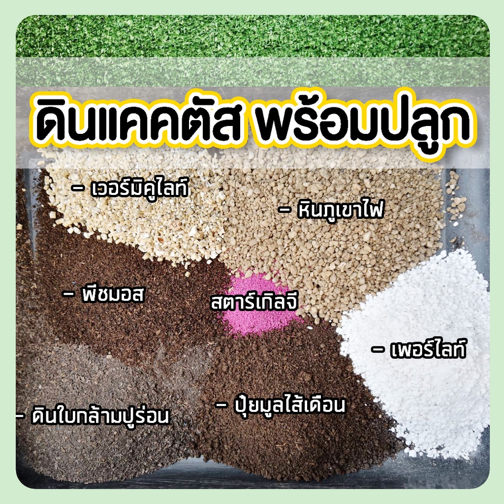 ดินแคคตัส ดินผสมพร้อมปลูกแคคตัส ไม้อวบน้ำ ไลทอป สูตรปุ๋ยหมัก 1กิโลกรัม