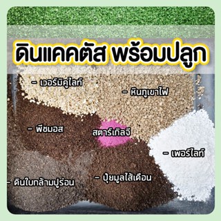 ดินแคคตัส ดินผสมพร้อมปลูกแคคตัส ไม้อวบน้ำ ไลทอป สูตรปุ๋ยหมัก 1กิโลกรัม