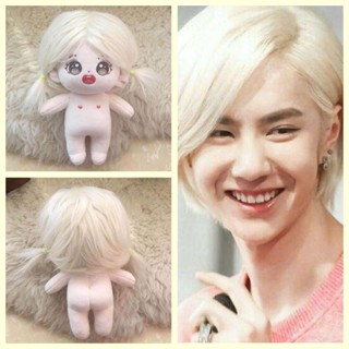 ตุ๊กตา หวังอี้ป๋อ 20 เซนติเมตร WANGYIBO DOLL 20 CM.