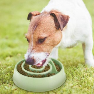 Mr Pet Bowl pet food bowl slow ชามอาหารสัตว์เลี้ยงชะลอการทานอาหาร คละสี