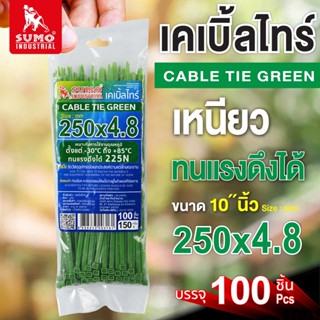 เคเบิ้ลไทร์ 250mm.(10")x4.8mm SUMO