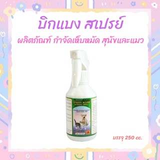 Bigbang Spray บิกแบง สเปรย์ กำจัดเห็บ หมัด สำหรับสุนัขและแมว