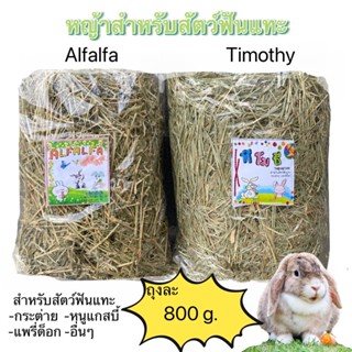 หญ้ากระต่าย หญ้าสำหรับสัตว์ฟันแทะ หญ้าalfalfa หญ้าtimothy หญ้าอัลฟาฟ่า หญ้าทีโมธี หญ้าทิมโมธี หญ้า อัลฟาฟ่า ทีโมธี แพรี่