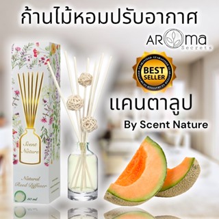 กลิ่นแคนตาลูป ก้านไม้หอมปรับอากาศ 50ml. เซนต์เนเจอร์