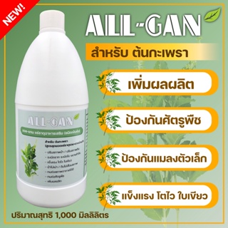 ปุ๋ยน้ำกะเพราปุ๋ยชีวภาพALL GAN1000ml.ปุ๋ยน้ำออแกนิคช่วยต้านทานโรคสูตรเข้มข้นพิเศษใช้ได้นานจากธรรมชาติ100%ช่วยบำรุงฟื้นฟู