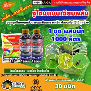 🥬 ชุดกำจัดเพลี้ยสิ้นซาก ไทอะมีทอกแซม+นูดิโลทริน2.5 (ไทอะมีทอกแซม+แลมป์ดา-ไซฮาโลทริน) จู่จอมแบบเฉียบพลัน