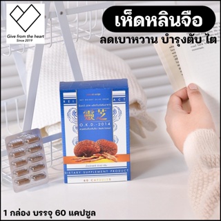 เห็ดหลินจือแดงเพียว สกัดเข้มข้น 300 มิลลกรัม (Reishi Extract 300 mg) 60 แคปซูล/กล่อง