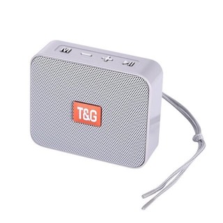 ลำโพงขนาดเล็ก T&amp;G166 เครื่องเล่นเพลงแบบพกพาพร้อมวิทยุ FM ลำโพง Bluetooth