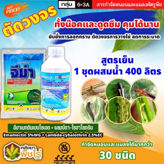 🌽 ชุดตัดวงจร จีม่า+แลมป์ดา ไก่เกษตร (อีมาเมกติน+แลมป์ดา-ไซฮาโลทริน) ทั้งน๊อคและดูดซึม คุมได้นาน