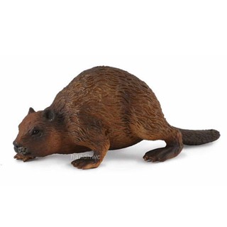 Collecta 88382 Beaver-Forest/Woodland คัดลอกลายสัตว์ พร้อมแพกเกจจิ้ง