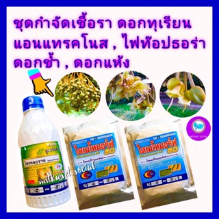 ชุด กำจัดเชื้อรา ดอกทุเรียน ยาทุเรียน โพรคลอราซ 1 ลิตร + ไดเมโทมอร์ฟ 100 g / 2 ซอง แอนแทรคโนส ไฟท๊อปธอร่า ดอกช้ำ ดอกแห้ง