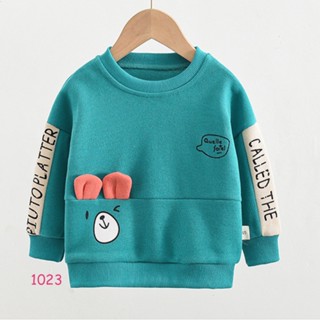 TLB-1023 เสื้อแขนยาวเด็กชาย sweater สีเขียวลายหมี