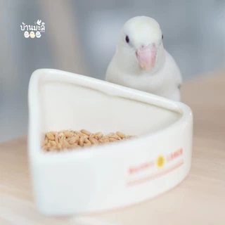 Daily oat meal ข้าวโอ๊ตสูตรบ้านมะลิ สำหรับนกแก้วขนาดเล็ก-กลาง