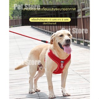 สายรัดคอสะท้อนแสง สายจูงสุนัข สายจูงสัตว์เลี้ยง สายจูงหมา สายจูงแมว เสื้อกั๊ก สายรัดอกสุนัขพร้อมส่ง