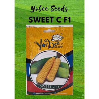 ผลิตภัณฑ์ใหม่ เมล็ดพันธุ์ จุดประเทศไทย ❤YOBEE Sweet C F1 Sweet Corn Golden Yellow Kernel Vegetable 80 seeds Pouc/ขายดี 9