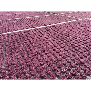 ถูกที่สุด! โรงงานมาเอง ข้าวแต๋นแผ่นดิบจิ๋วน้ำแตงโมคละสี