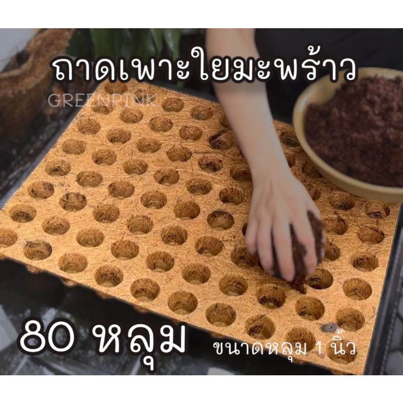 ถาดเพาะกล้าใยมะพร้าว ถาดละ80หลุม