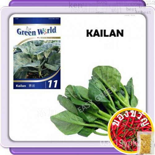 Gggw kale kale Kale เมล็ดเมล็ด greenworld เมล็ดเมล็ดเมล็ด URI8