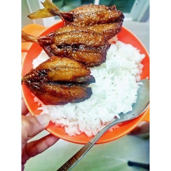ปลาทูหวานแดดเดียว สดใหม่ กำลังดีเลยจ้า ฮาล้าล