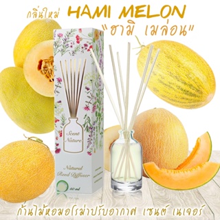 ก้านไม้หอมปรับอากาศ 50ml HAMI MELON ฮามิเมล่อน