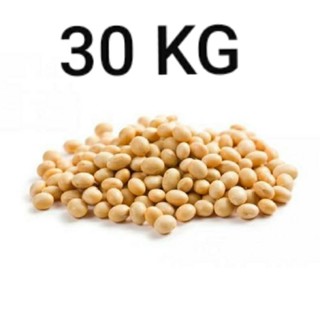 Canadian White Soy bean Premium-Quality Soybean