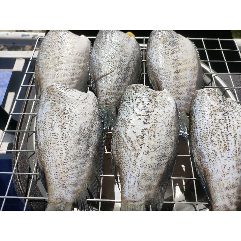 ปลาสลิดแดดเดียวขนาดจัมโบ้ 5- 7 ตัวโล ทางร้านจัดส่งให้ภายใน 3 วันลูกค้าจะได้รับสินค้าใหม่ทุกออเดอร์คะ
