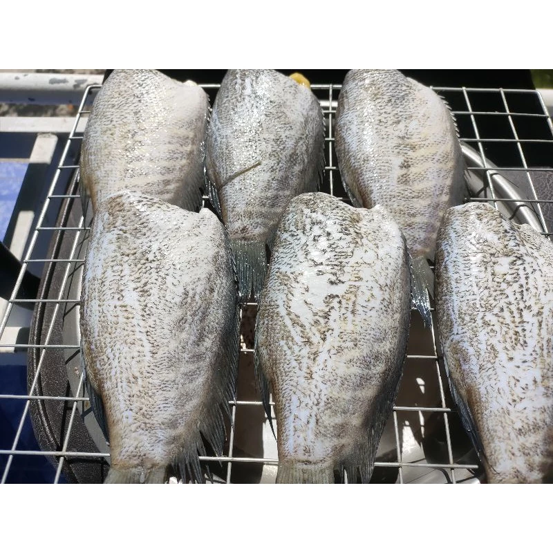 ปลาสลิดแดดเดียวขนาดจัมโบ้ 5- 7 ตัวโล ทางร้านจัดส่งให้ภายใน 3 วันลูกค้าจะได้รับสินค้าใหม่ทุกออเดอร์คะ