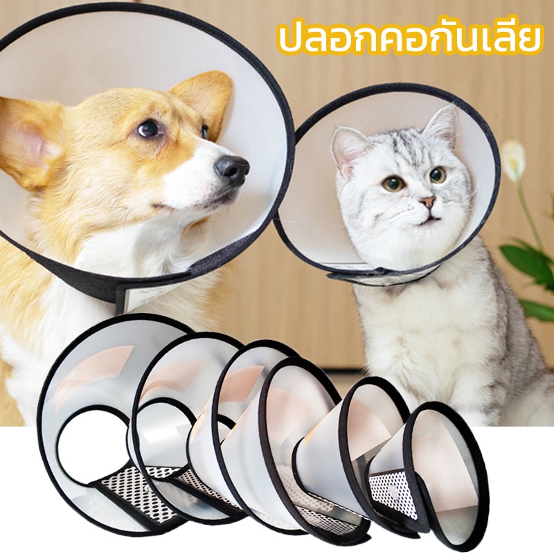 พร้อมส่งจ้ ปลอกคอกันเลีย ปลอกคอแมว ปลอกคอสัตว์เลี้ยง ปลอกคอสุนัข หลายขนาด