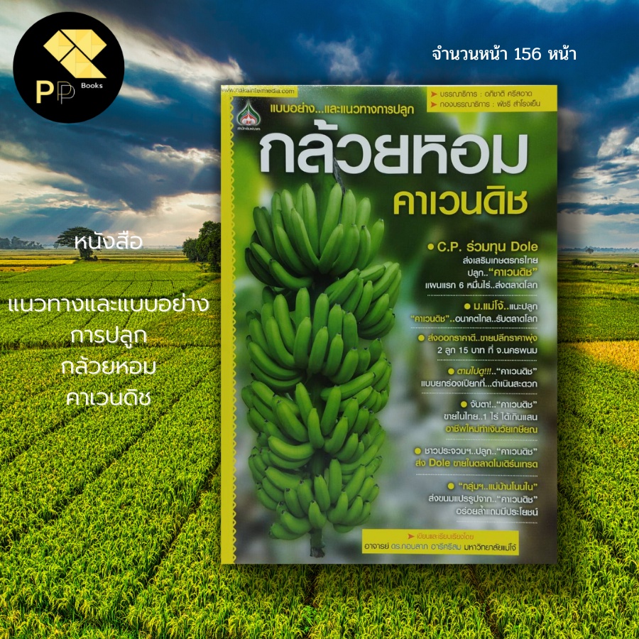 (ร้านหนังสือ PP books) แนวทางและแบบอย่างการปลูก กล้วยหอม คาเวนดิช : เกษตร พันธุ์กล้วยหอม ปู่ยเคมี ปุ