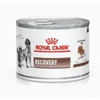 ยกแพ็ค12กป.Royal Canin Recovery Cats Dogs อาหารสุนัข แมว สัตว์ป่วยพักฟื้น กระป๋อง 195g 12