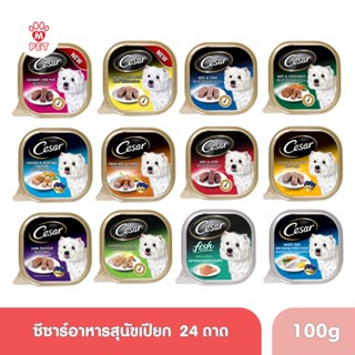 (MT) Cesar ซีซาร์ อาหารเปียกสุนัข สำหรับสุนัขโต 1 ปีขึ้นไป 100g. [24 Tray]