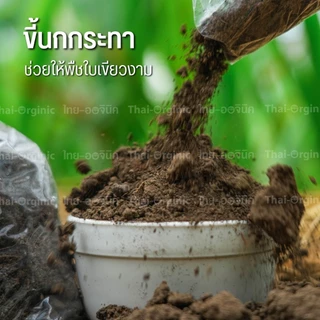 ขี้นกกระทา(1 กก.) ปุ๋ยมูลนกกระทา บำรุงใบ ไนโตรเจนสูง มูลนกกระทา ขี้นกกระทาล้วน ขี้นกแท้ 100%