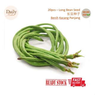 อันนี้20ชิ้น/ไม้จันทน์ [SG Vegetable Seed] เเน่นอน/ดอกไม้/สวน/ดอกทานตะวัน/ดอกไม้/สัตว์ใหญ่/ข้าวโพด/ปลาดาว TI7H