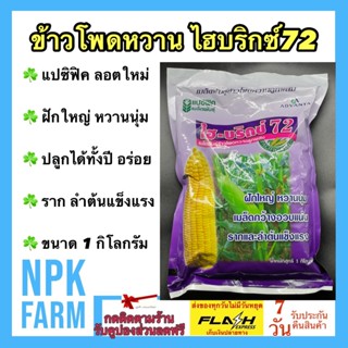 ข้าวโพดหวาน ไฮบริกซ์72 ขนาด 1 กิโลกรัม เมล็ดพันธุ์ ข้าวโพด แปซิฟิค ลอตใหม่ ฝักใหญ่ หวานนุ่ม เมล็ดกว้าง อวบ แน่น npkplant