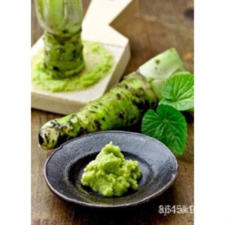 ผลิตภัณฑ์ใหม่ เมล็ดพันธุ์ สปอตสินค้า❤เมล็ดอวบอ้วน วาซาบิ (Wasabi Seed) บรรจุ 20 เมล็ดเมล็ดอวบอ้วน 100% รอคอยที่จ/ขายด FN