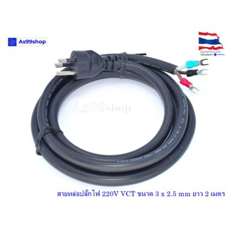 สายหล่อปลั๊กไฟ 220V VCT ขนาด 3 x 2.5 mm ยาว 2 เมตร