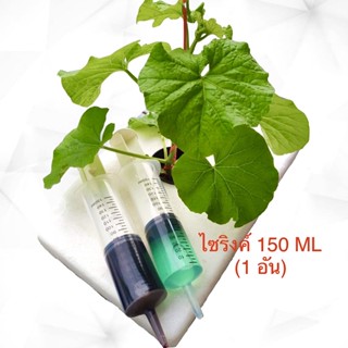 ไซริงค์ Syringe 150 ML ไซริงค์ขนาดใหญ่ (1 อัน)