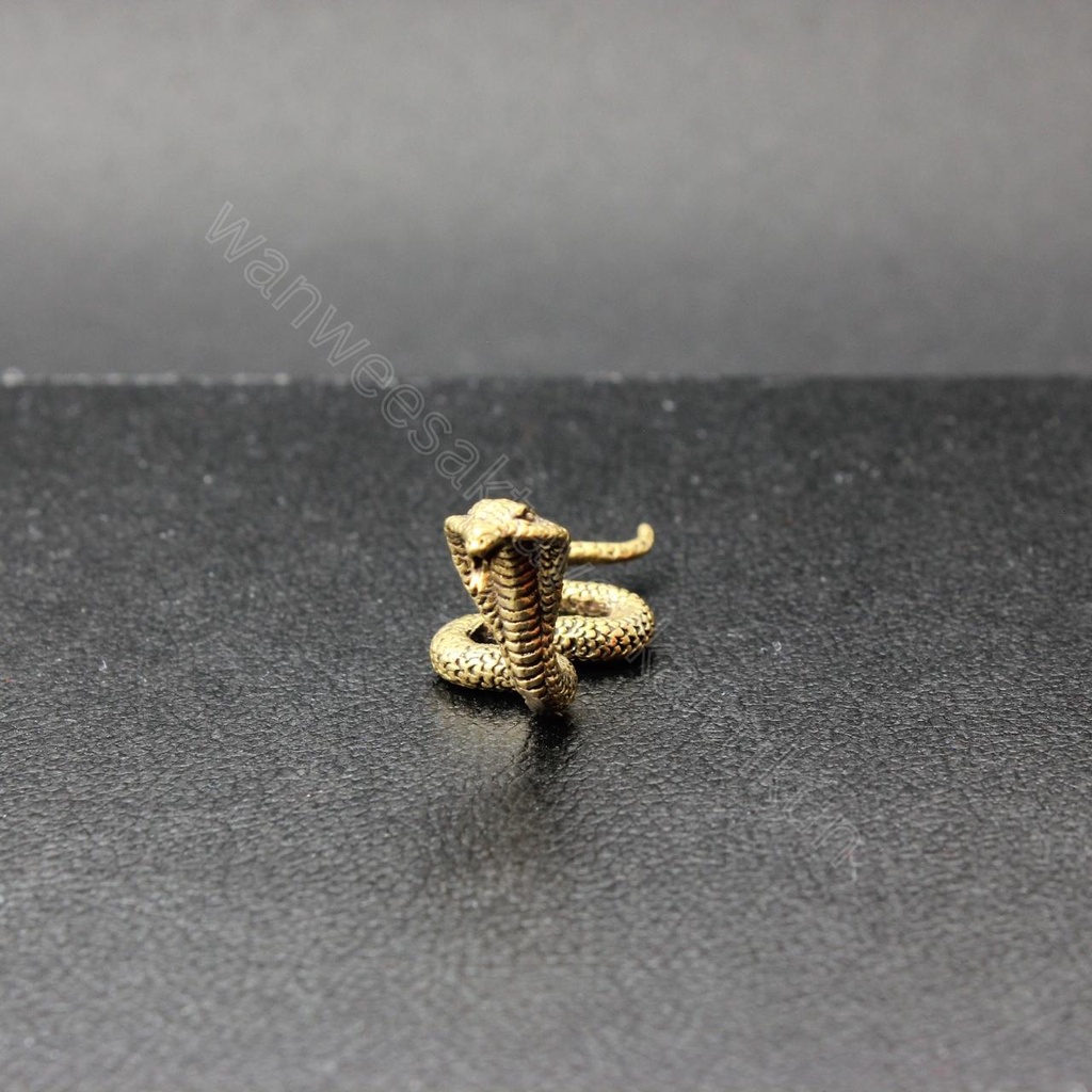 จงอางแผ่เบี้ยทองเหลืองแท้ ราคาส่ง - รูปที่ 5