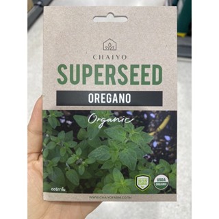 เมล็ดพันธุ์ ออริกาโน ออร์แกนิค ( Oregano Organic Seed ) บรรจุ 380 เมล็ด