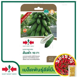 East-West Seed เมล็ดพันธุ์มะละกอ (Papaya seeds) ส้มตำ 90 F1 เมล็ดพันธุ์ผัก เมล็ดพันธุ์ ผักสวนครัว มะละกอ ตราศรแดงสวน/แม่