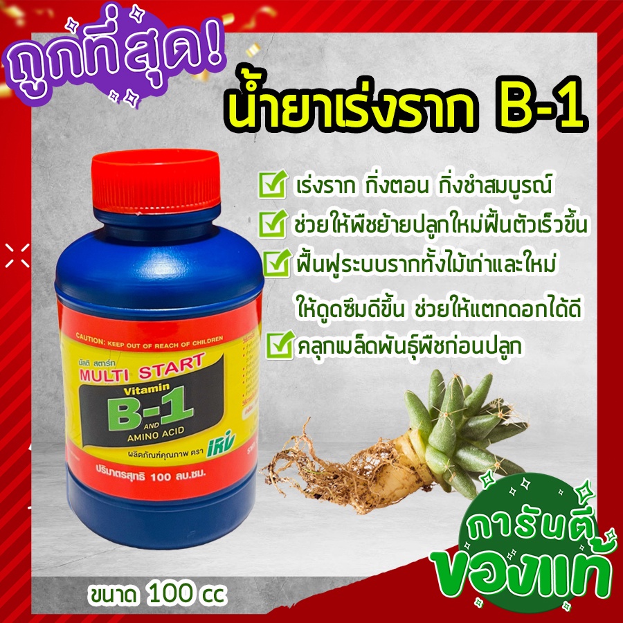 B1 เร่งราก บีวัน ถูกที่สุด B-1 ยาเร่งราก น้ำยาเร่งราก ช่วยในการแตกรากพืช กิ่งตอน ปักชำ ย้ายปลูกใหม่ ฟื้นตัวเร็ว 100cc