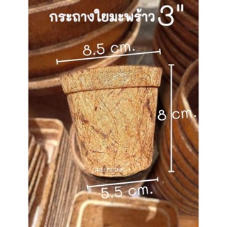 10ชิ้น/แพ็ค กระถางใยมะพร้าว 3นิ้ว coir pors cocopots coconut fiber pots กระถางต้นไม้ กระถางใยมะพร้าว ใยมะพร้าว รักษ์​โลก