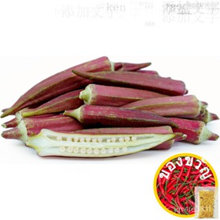 Red Okra (15เมล็ด) สวูล/หงอก/ดอกไม้/ไม้จันทน์/ไม้จันทน์/หูก/seeds/กระโปรง/กางเกงลำลอง/ของเล่น/ VRJB