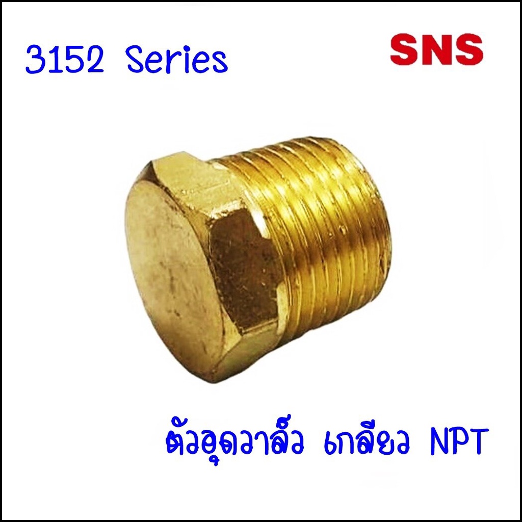 3152  ปลั๊กอุดวาล์ว แบบใช้ ประแจขัน มีขนาด 3152x2 ขนาด 1/8/ 3152x4 ขนาด 1/4 / 3152x6 ขนาด 3/8 / 3152x8 ขนาด 1/2