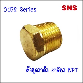 3152  ปลั๊กอุดวาล์ว แบบใช้ ประแจขัน มีขนาด 3152x2 ขนาด 1/8/ 3152x4 ขนาด 1/4 / 3152x6 ขนาด 3/8 / 3152x8 ขนาด 1/2