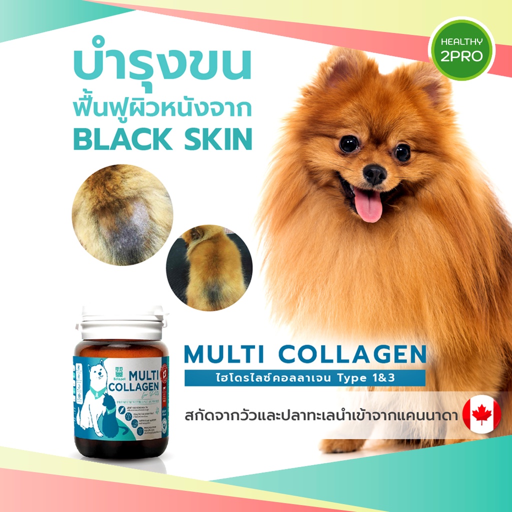 อาหารเสริมคอลลาเจน Multi Collagen Betapet บำรุงขนและผิวหนัง สกัดจากวัวและปลาทะเลน้ำลึก สำหรับสุนัขและแมว
