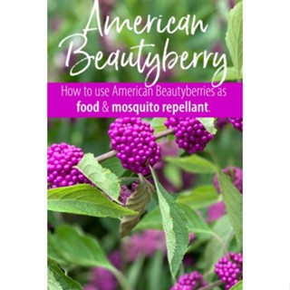 เมล็ดพันธุ์อเมริกันบิวตี้เบอร์รี่ American Beautyberry Seeds บรรจุ 20 เมล็ด คุณภาพดี ของแท้ ราคาถูก นำเข้าจากต่างประเทศ