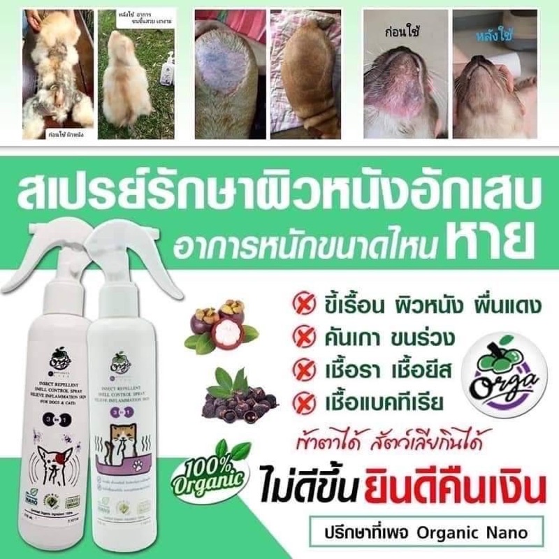 เชื้อรายีสต์แบคทีเรียเรื้อนสุนัขแมวสเปรย์นาโน200ml.ฉีดเข้าหน้าเข้าตาได้เลียกินได้