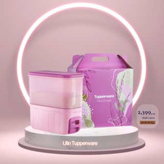 ถังใส่ข้าวสาร Tupperware ความจุ 10 กิโลกรัม(พร้อมกล่อง) ราคาชุดละ 2,399 บาท